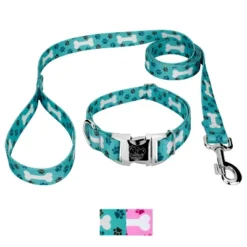 Country Brook Petz Premium Dog Collar And Leash - Dog's Life Collection -Pet Supplies Online GUEST 4513828c 0129 4623 8917 aa4d1bde827f