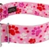 Country Brook Petz 1 1/2 Inch Premium Puppy Love Dog Collar -Pet Supplies Online GUEST 4551ce1d 1bd4 4189 83f2 2f144d1187f3