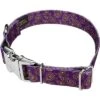 Country Brook Petz Premium Purple Paisley Dog Collar