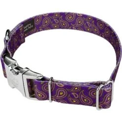 Country Brook Petz Premium Purple Paisley Dog Collar
