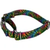 Country Brook Petz Tie Dye Stripes Martingale Dog Collar -Pet Supplies Online GUEST 460df580 fc9d 4f81 8d99 fdc24590a762