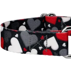 Country Brook Petz Martingale Dog Collar - Affection Collection -Pet Supplies Online GUEST 46224a2f a814 4582 9be5 f032a32854d1