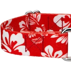 Country Brook Petz - Red Hawaiian Martingale Dog Collar -Pet Supplies Online GUEST 462b4c3c 3a9e 4e08 9386 a957e4490beb
