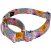 Country Brook Petz May Flowers Martingale Dog Collar -Pet Supplies Online GUEST 4672f7a7 be8f 476d b678 7aff6523a0c9