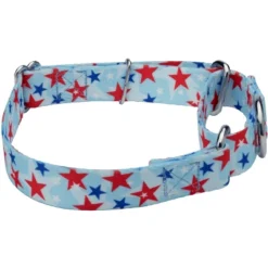 Country Brook Petz American Celebration Martingale Dog Collar (1/2 Inch, 2XS) -Pet Supplies Online GUEST 46b600e1 9fe8 400c a5bc fa3e1741a5aa