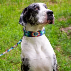 Country Brook Petz 1 1/2 Inch Tie Dye Flowers Martingale Dog Collar -Pet Supplies Online GUEST 47d892c4 b04c 4d15 972a 1a8406bafa59