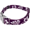 Country Brook Petz Premium Purple Hawaiian Dog Collar -Pet Supplies Online GUEST 47f9278b 7650 4620 970b 61dd473d8db8