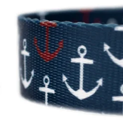 Country Brook Petz 6 Foot Dog Leash - Summer Breeze Collection -Pet Supplies Online GUEST 48007a03 0c7e 4074 ad72 9e52a3b001d9 1