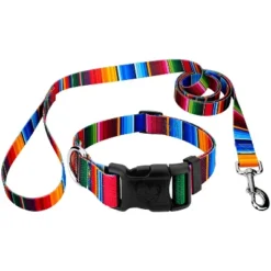 Country Brook Petz Deluxe Serape Dog Collar And Leash -Pet Supplies Online GUEST 4879208e c821 4620 a2dd af9b8647e192