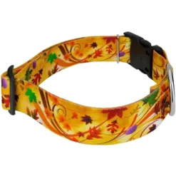 Country Brook Petz HossFit Jr Wide Deluxe Dog Collar - Awesome Autumn Collection -Pet Supplies Online GUEST 4892a37a 562d 44a5 b752 d2109be814cc