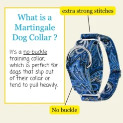 Country Brook Petz HossFit Jr Wide Martingale Dog Collar - Paisley Collection 14 Country Brook Petz HossFit Jr Wide Martingale Dog Collar - Paisley Collection -Pet Supplies Online GUEST 48b85230 1f61 4672 9838 0f23483d1ebf