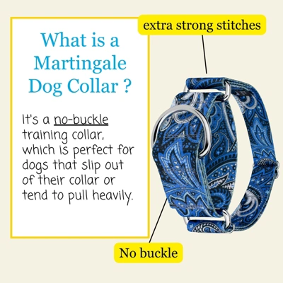 Country Brook Petz HossFit Jr Wide Martingale Dog Collar - Paisley Collection 5 Country Brook Petz HossFit Jr Wide Martingale Dog Collar - Paisley Collection - Image 3