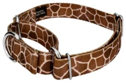 Country Brook Petz Giraffe Martingale Dog Collar -Pet Supplies Online GUEST 49ac07c6 ccd9 4527 8e74 fdaf6f7e5946