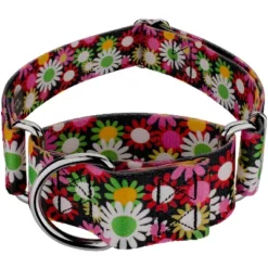 Country Brook Petz HossFit Jr Wide Martingale Dog Collar - Floral Collection -Pet Supplies Online GUEST 4a01c78c 95ed 4552 82f2 1c74ca7a4f32 1