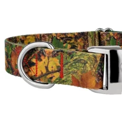 Country Brook Petz Premium Southern Forest Camo Dog Collar -Pet Supplies Online GUEST 4ab5784b f464 43f9 9fd5 169853bd9f4e