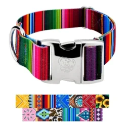 Country Brook Petz HossFit Jr Wide Premium Dog Collar - Country And Western Collection -Pet Supplies Online GUEST 4ae80d5f 81da 473c b068 3953335e36b2