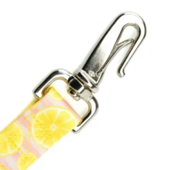 Country Brook Petz 6 Foot Dog Leash - Tasty Collection -Pet Supplies Online GUEST 4b11e778 25c1 4eca 99f0 f9826e0d1a8a