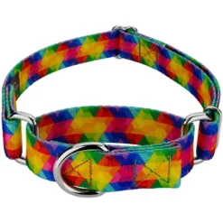 Country Brook Petz Kaleidoscope Martingale Dog Collar -Pet Supplies Online GUEST 4bb2edd3 c269 43be ac06 63dc5ce0443b