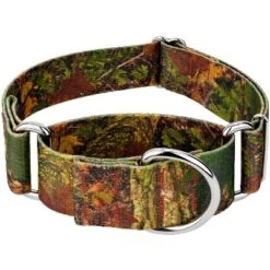 Country Brook Petz 1 1/2 Inch Southern Forest Camo Martingale Dog Collar 17 Country Brook Petz 1 1/2 Inch Southern Forest Camo Martingale Dog Collar -Pet Supplies Online GUEST 4c5d4f6e ea67 4e8b a772 697d313e6f6e