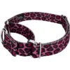 Country Brook Petz - Pink Leopard Martingale Dog Collar -Pet Supplies Online GUEST 4d893586 c8b3 491b a0a9 44a8509c9f0d