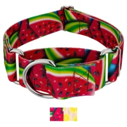 Country Brook Petz HossFit Jr Wide Martingale Dog Collar, Tasty Collection -Pet Supplies Online GUEST 4e1b8dc1 67f6 4e88 b746 d239fda6d857