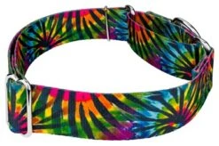 Country Brook Petz 1 1/2 Inch Tie Dye Stripes Martingale Dog Collar 14 Country Brook Petz 1 1/2 Inch Tie Dye Stripes Martingale Dog Collar -Pet Supplies Online GUEST 4eede742 b450 452a 8860 0a2746db4174