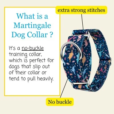 Country Brook Petz HossFit Jr Wide Martingale Dog Collar - Critter Corner Collection 4 Country Brook Petz HossFit Jr Wide Martingale Dog Collar - Critter Corner Collection - Image 2