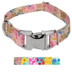 Country Brook Petz Premium Dog Collar - Spring Collection -Pet Supplies Online GUEST 4f9cf9de 305e 42b6 998d 37ea45750bce