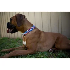 Country Brook Petz Deluxe Star Spangled Dog Collar - Made In The U.S.A.