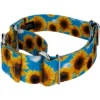 Country Brook Petz 2 Inch Sunflowers Martingale Dog Collar -Pet Supplies Online GUEST 509328ea ea58 4266 81d0 1752ec3f991e