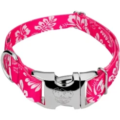 Country Brook Petz Premium Pink Hawaiian Dog Collar -Pet Supplies Online GUEST 50b910ea ae52 4c73 a754 edd43b3ddfc7