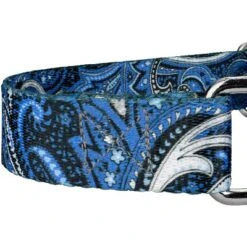 Country Brook Petz Martingale Dog Collar - Paisley Collection -Pet Supplies Online GUEST 50c0e925 1876 40ab 89ea e67855fbd3c7