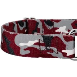 Country Brook Petz Martingale Dog Collar - Sports And Athletics Collection -Pet Supplies Online GUEST 50f3117a 06ca 4182 8794 bf587703b584