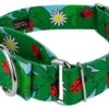 Country Brook Petz 1 1/2 Inch Ladybug Picnic Martingale Dog Collar
