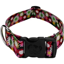 Country Brook Petz 1 1/2 Inch Deluxe Daisy Fields Dog Collar -Pet Supplies Online GUEST 52574ac1 b528 4a59 873b d608c1f939ef