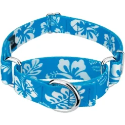 Country Brook Design - Blue Hawaiian Martingale Dog Collar -Pet Supplies Online GUEST 52a97216 5a12 4f93 8419 3a0eb08d1a9f