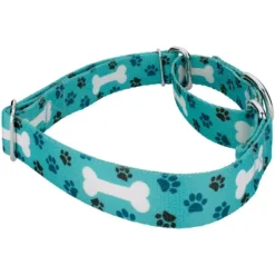 Country Brook Petz Oh My Dog Martingale Dog Collar -Pet Supplies Online GUEST 533ca441 0eac 44d7 8a2d 34dc48baf500 1