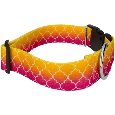 Country Brook Petz HossFit Jr Wide Deluxe Dog Collar - Abstract Collection 4 Country Brook Petz HossFit Jr Wide Deluxe Dog Collar - Abstract Collection - Image 2