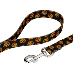 Country Brook Petz Premium Dog Collar And Leash - Halloween Collection -Pet Supplies Online GUEST 5496f71b 171b 429c 80c2 51aff7854e27 1
