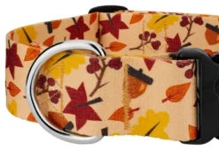 Country Brook Petz 1 1/2 Inch Deluxe Fall Foliage Dog Collar -Pet Supplies Online GUEST 5562e5f6 0ab0 4dcd b06b 17cdf3a2d05e