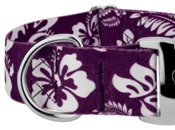 Country Brook Petz 1 1/2 Inch Premium Purple Hawaiian Dog Collar -Pet Supplies Online GUEST 55631a03 5da3 48a6 81c9 9c5815b46cc6