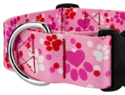 Country Brook Petz 1 1/2 Inch Deluxe Puppy Love Dog Collar -Pet Supplies Online GUEST 558c7fa6 8577 45af bcb9 1f5d0baa3287