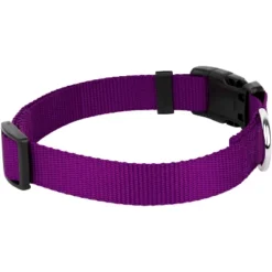 Country Brook Petz Deluxe Nylon Dog Collar And Leash -Pet Supplies Online GUEST 55cb9d4c 5e97 4a81 9989 36004665bb6c