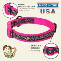 Country Brook Petz Deluxe Ribbon Dog Collar, Bright Spirits Collection -Pet Supplies Online GUEST 56302ca7 8d22 4bdd bcb8 8607fa1381b6