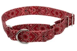 Country Brook Petz Red Bandana Martingale Dog Collar -Pet Supplies Online GUEST 56309d68 a320 4960 8e4f 116c11becf41
