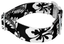 Country Brook Petz 1 1/2 Inch Premium Black Hawaiian Dog Collar -Pet Supplies Online GUEST 569732ec 963e 4147 b4af ac0ecf39bc3f