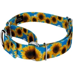 Country Brook Petz Sunflowers Martingale Dog Collar