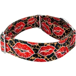 Country Brook Petz HossFit Jr Wide Martingale Dog Collar - Affection Collection -Pet Supplies Online GUEST 56c7a512 e177 4b6a 964b 139b101c2456