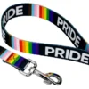 Country Brook Petz - 1/2 Inch Pride Dog Leash, 6 Foot -Pet Supplies Online GUEST 57183413 655b 4d49 8a22 0d8ee1959e3a 1