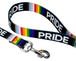 Country Brook Petz® 5/8 Inch Pride Dog Leash, 6 Foot